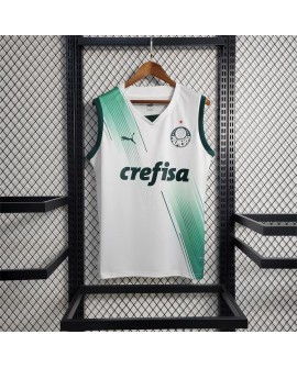 Camisa Palmeiras 2023/24 Ausente - Colete