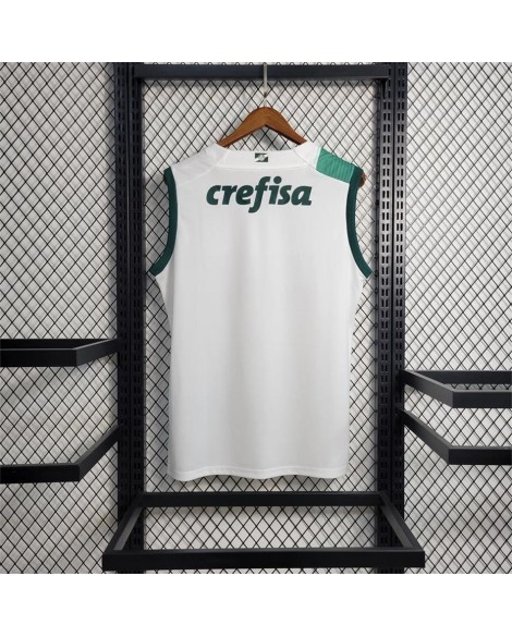 Camisa Palmeiras 2023/24 Ausente - Colete