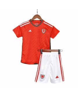 Camisa juvenil do País de Gales 2022 Home